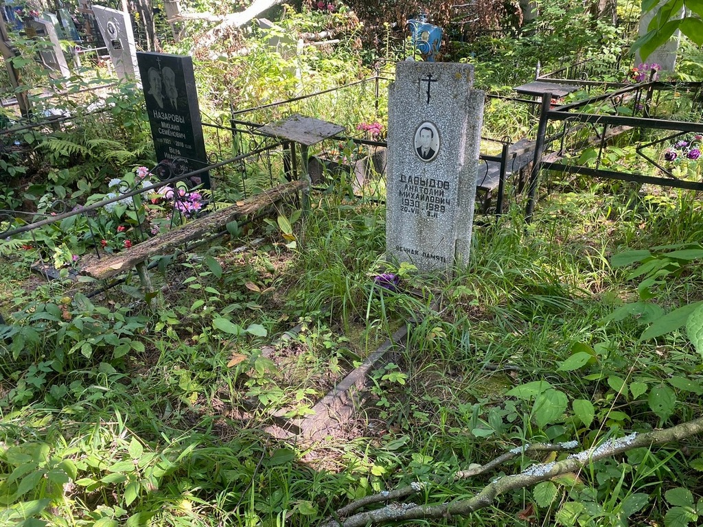 Давыдов Анатолий Михайлович