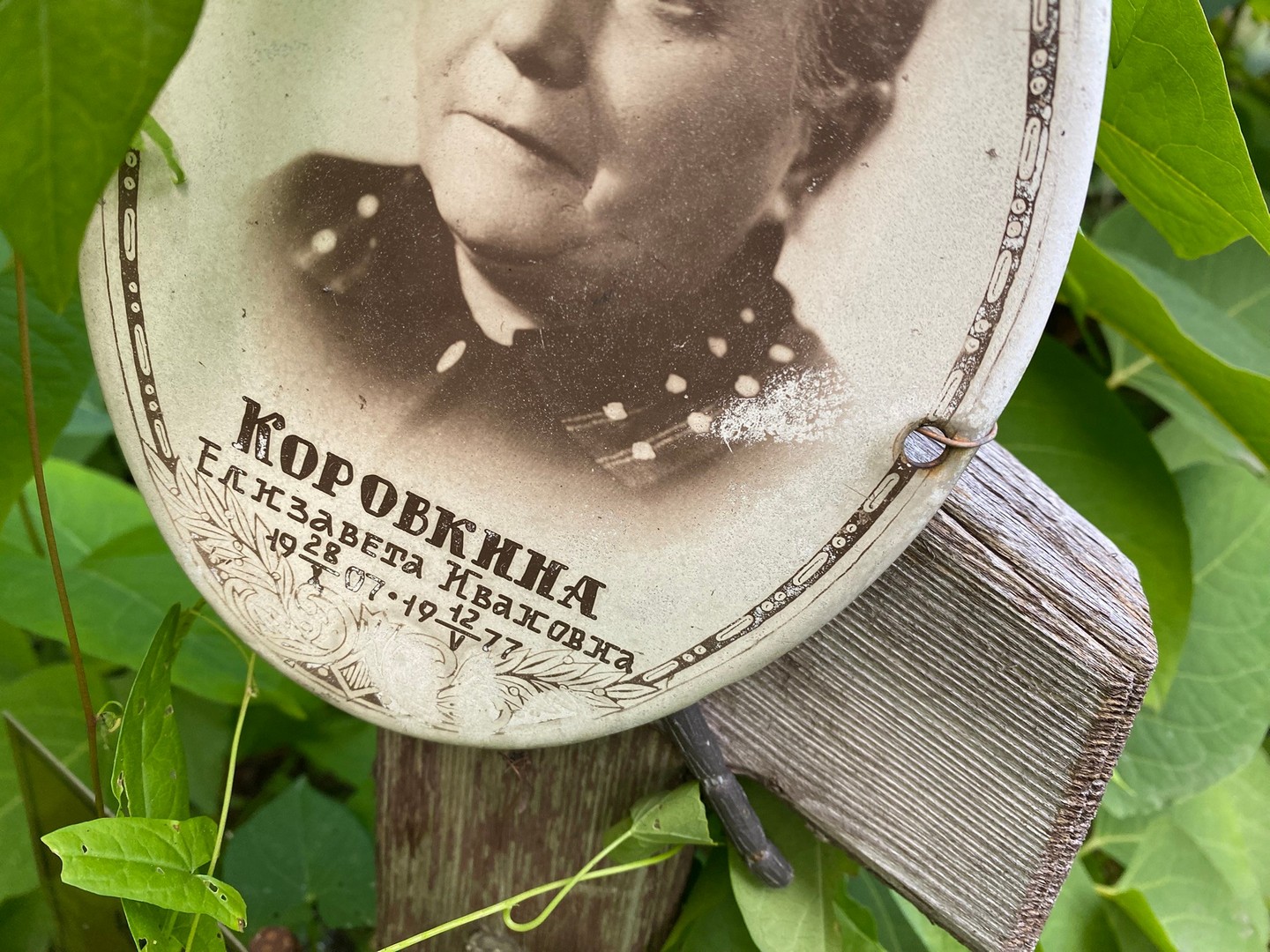 Коровкина