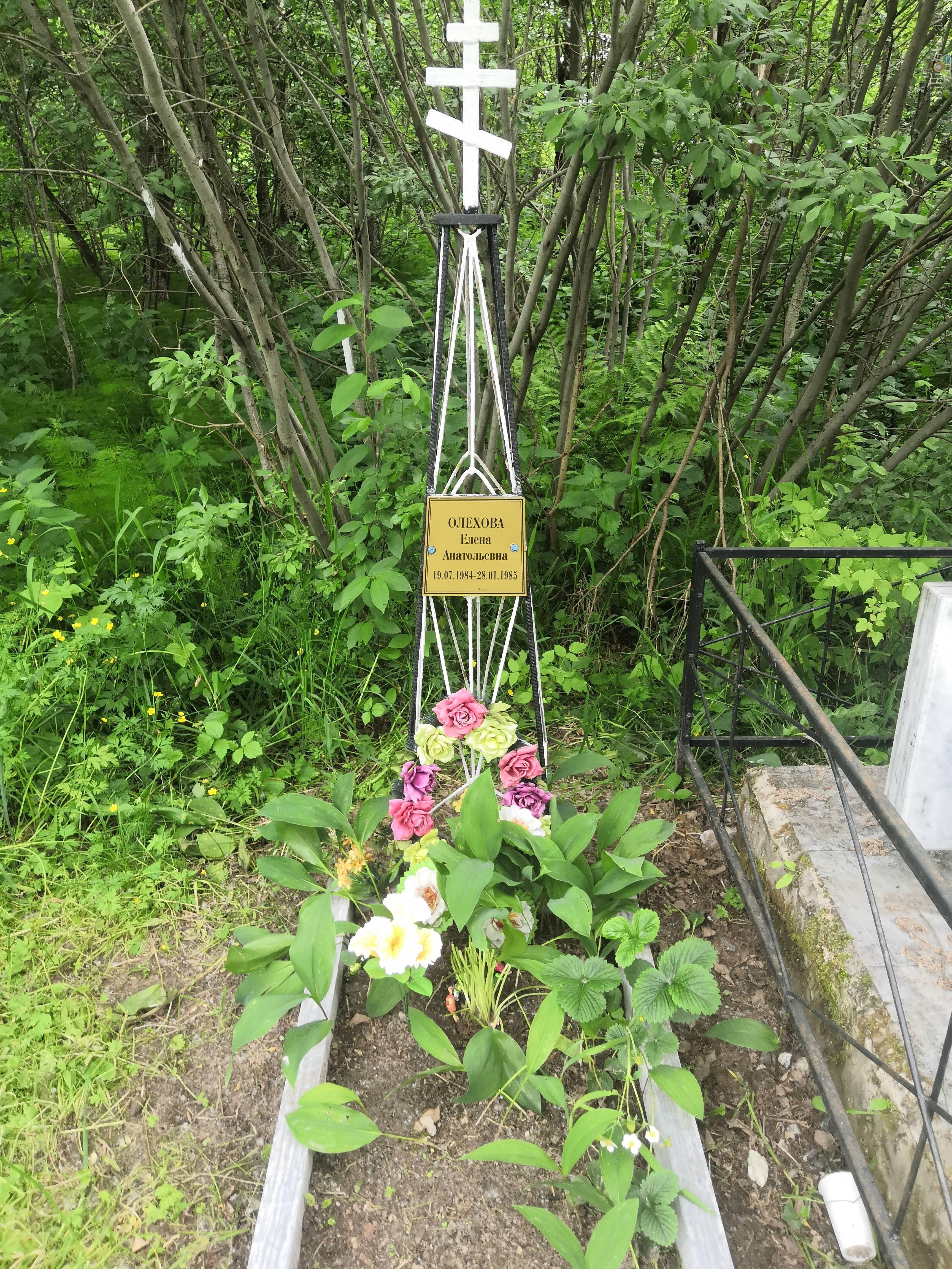 Олехова Елена Анатольевна