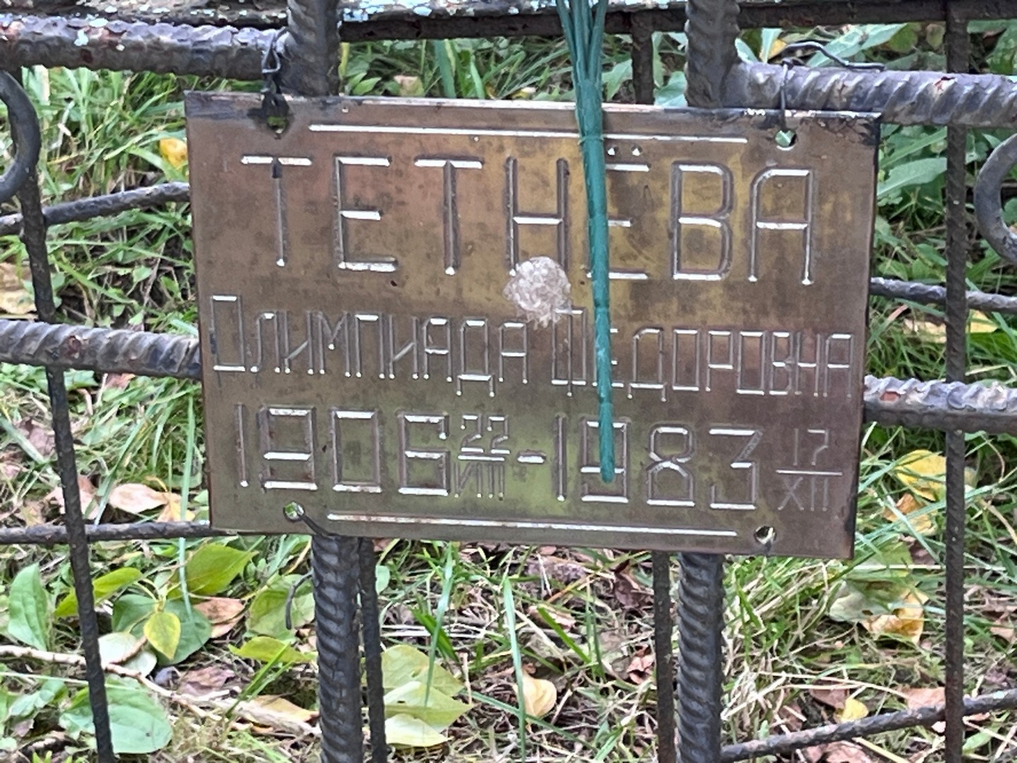 Олимпиада Тетнева Федоровна
