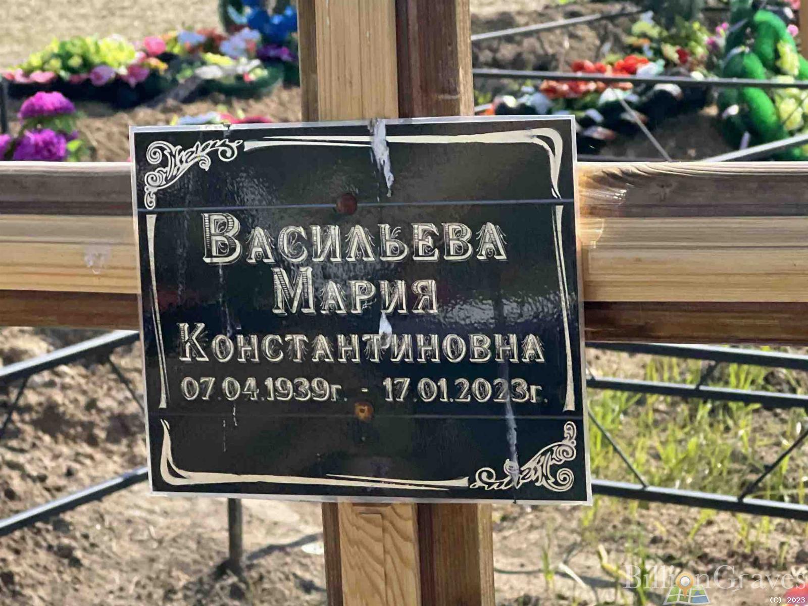 Васильева Мария Константиновна