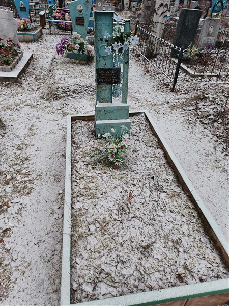 Волегова Алевтина Николаевна