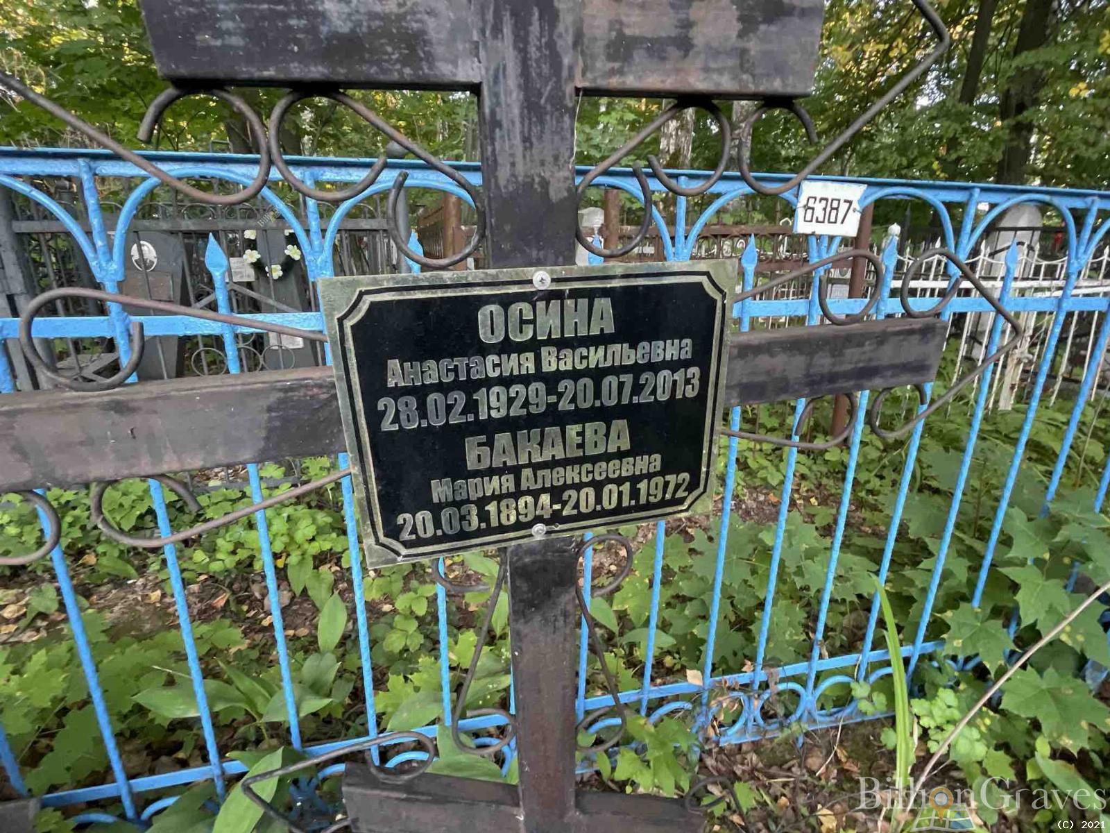 Осина Анастасия Васильевна