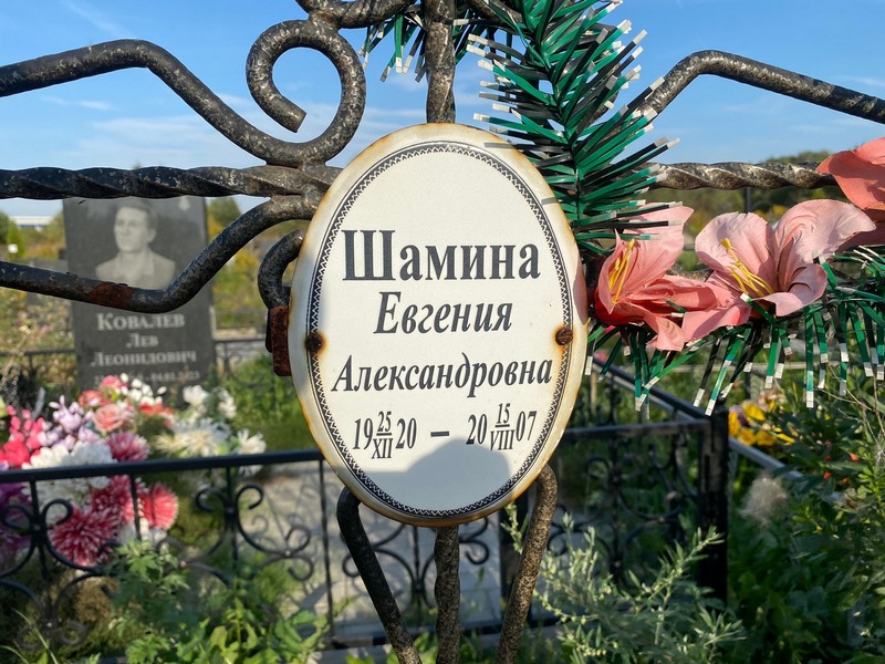 Шамина Евгения Александровна