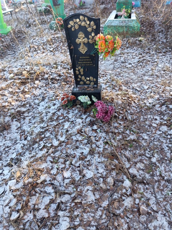 Волкова Екатерина Михайловна