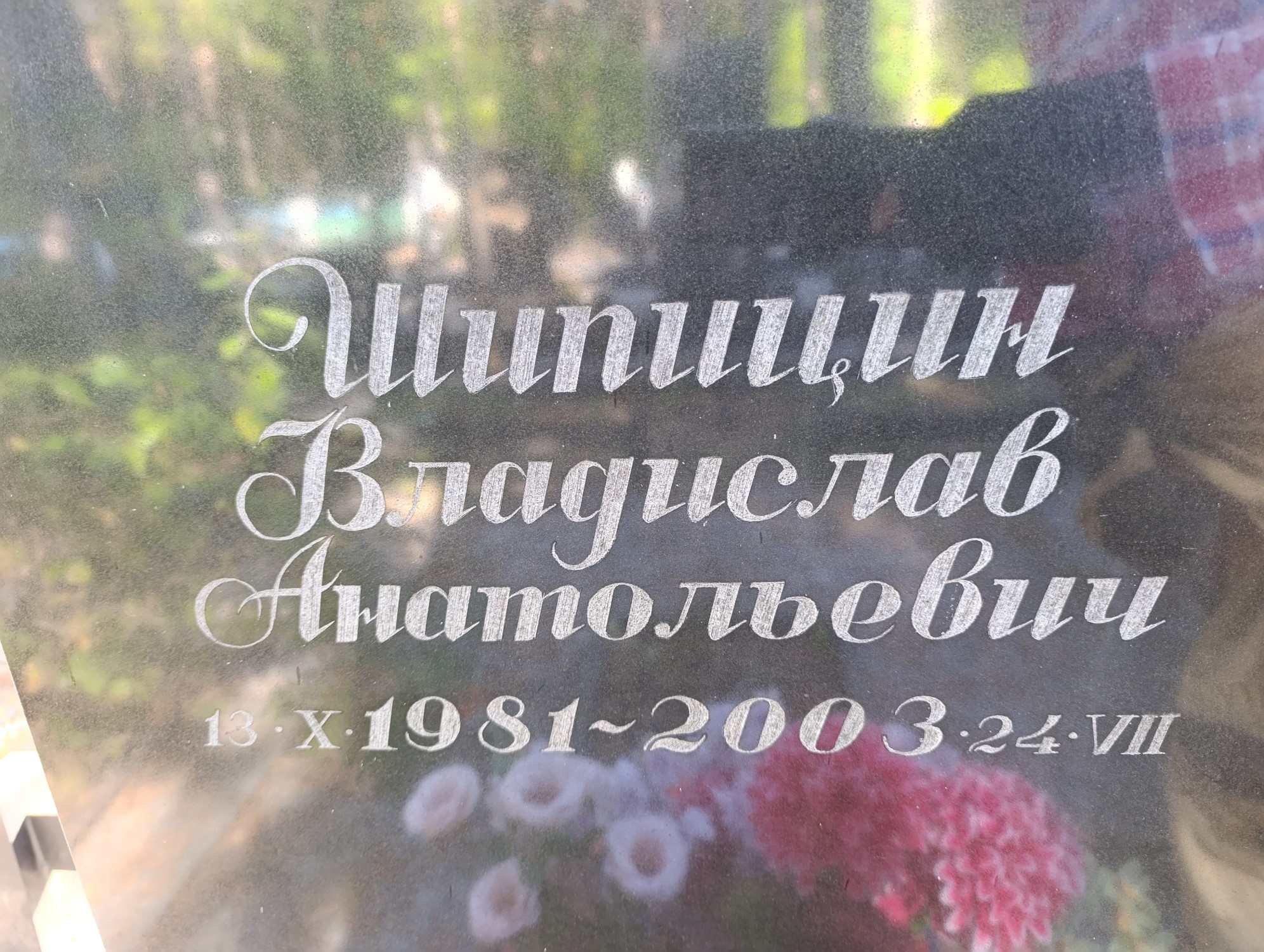 Шипицин Владислав Анатольевич