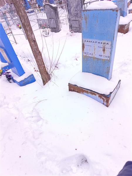 Замараева Алина Павловна