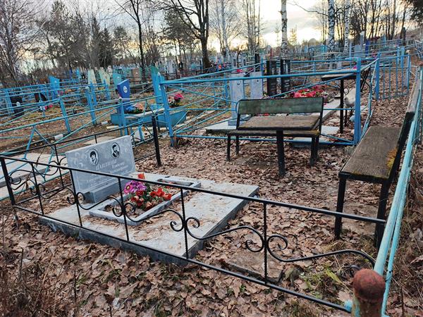 Цаплин Владимир Александрович