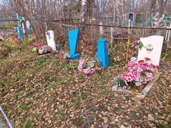 Ильин Александр Егорович