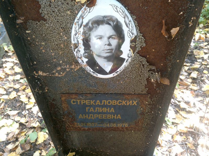Стрекаловских