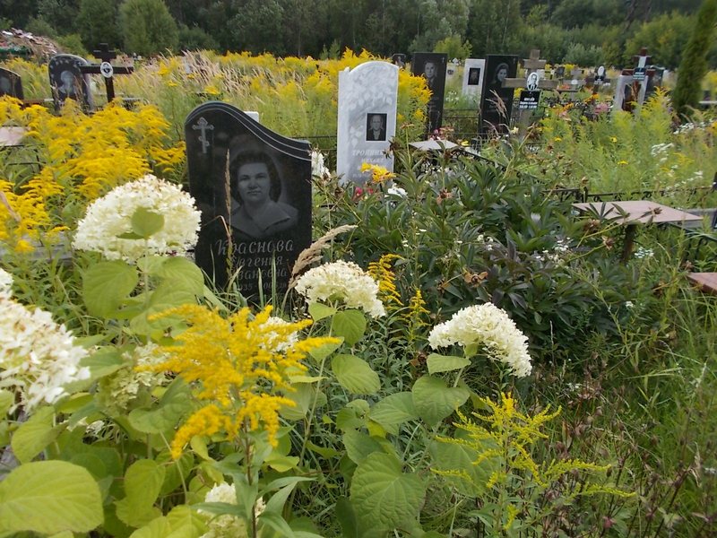 Краснова Евгения Ивановна