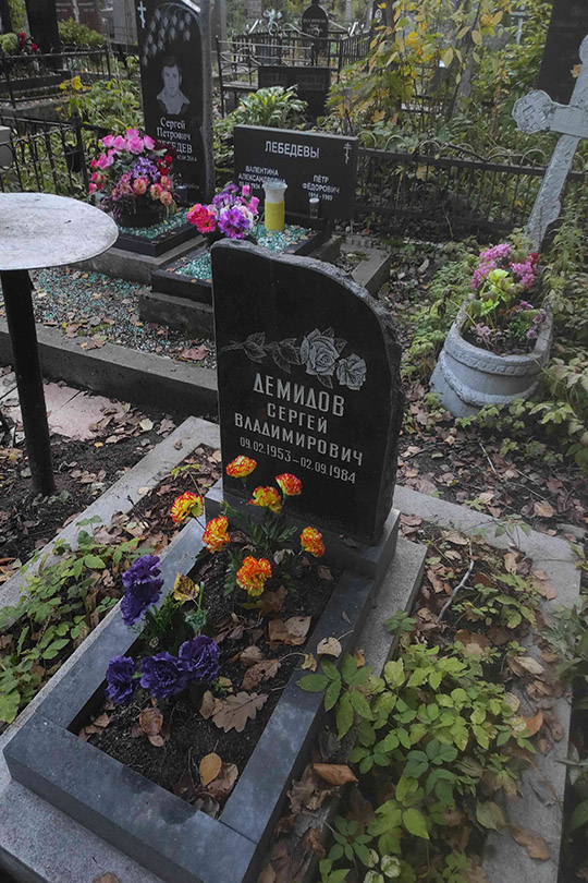 Демидов Сергей Владимирович