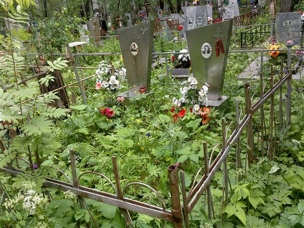 Габиев Василий Денисович