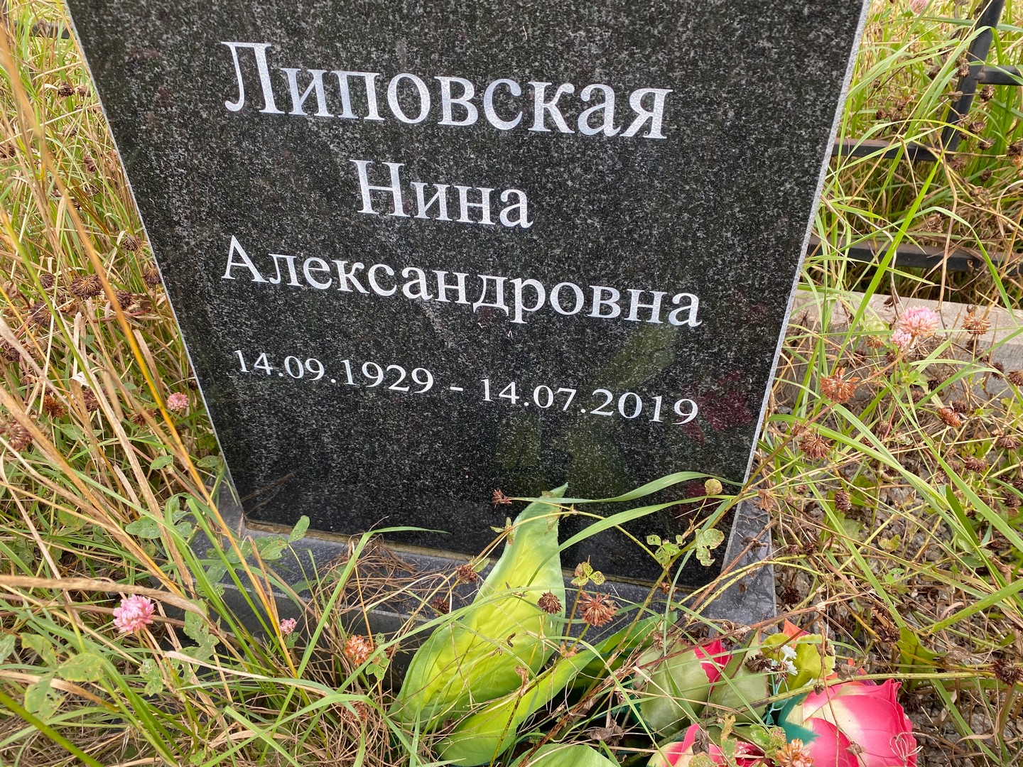 Липовская