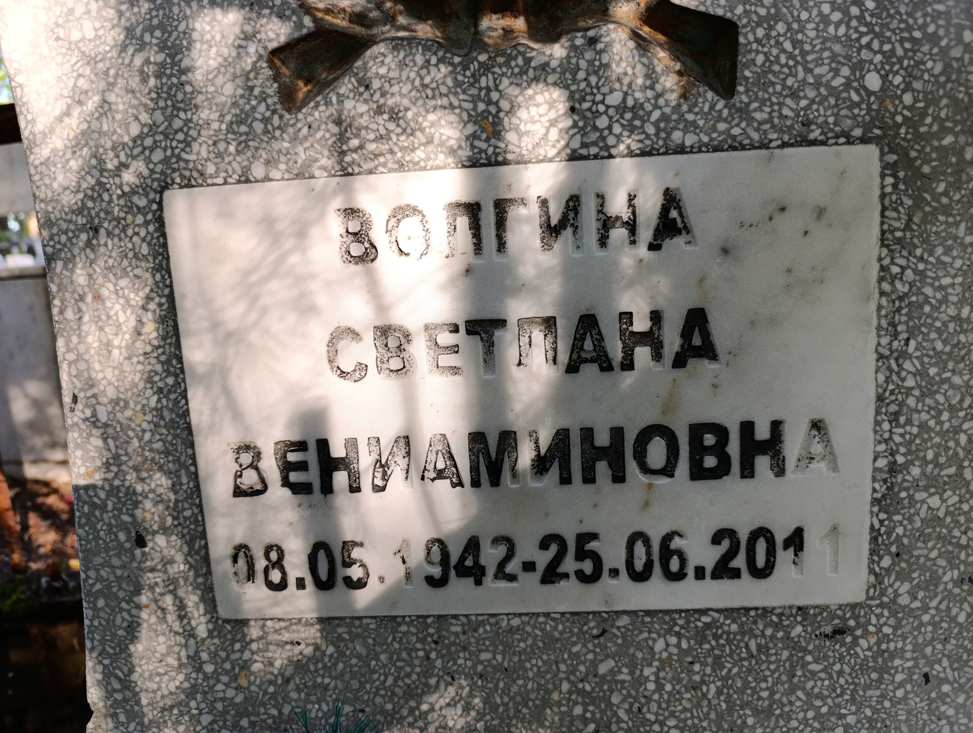 Волгина Светлана Вениаминовна