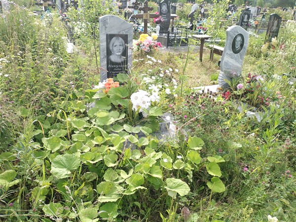 Никулина Лидия Степановна