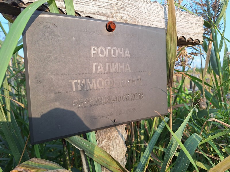 Рогоча