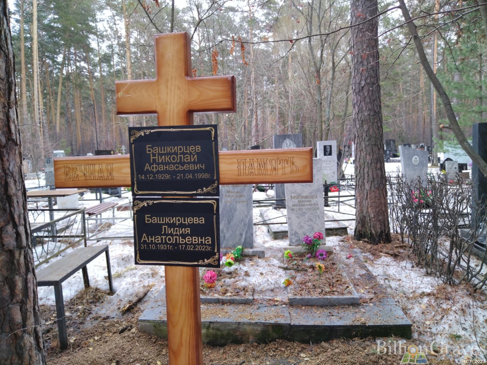 Башкирцева Лидия Анатольевна