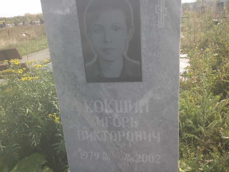Кокшин