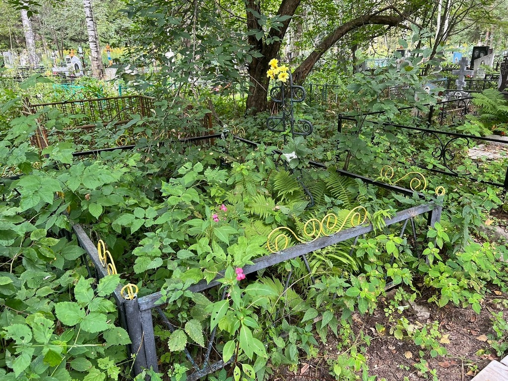 Борисова Аксинья Дмитриевна