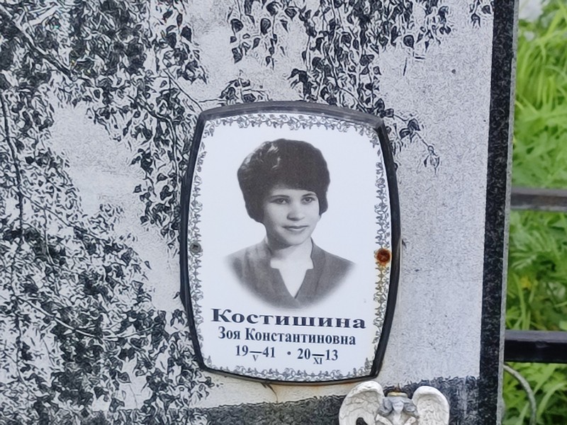Костишина