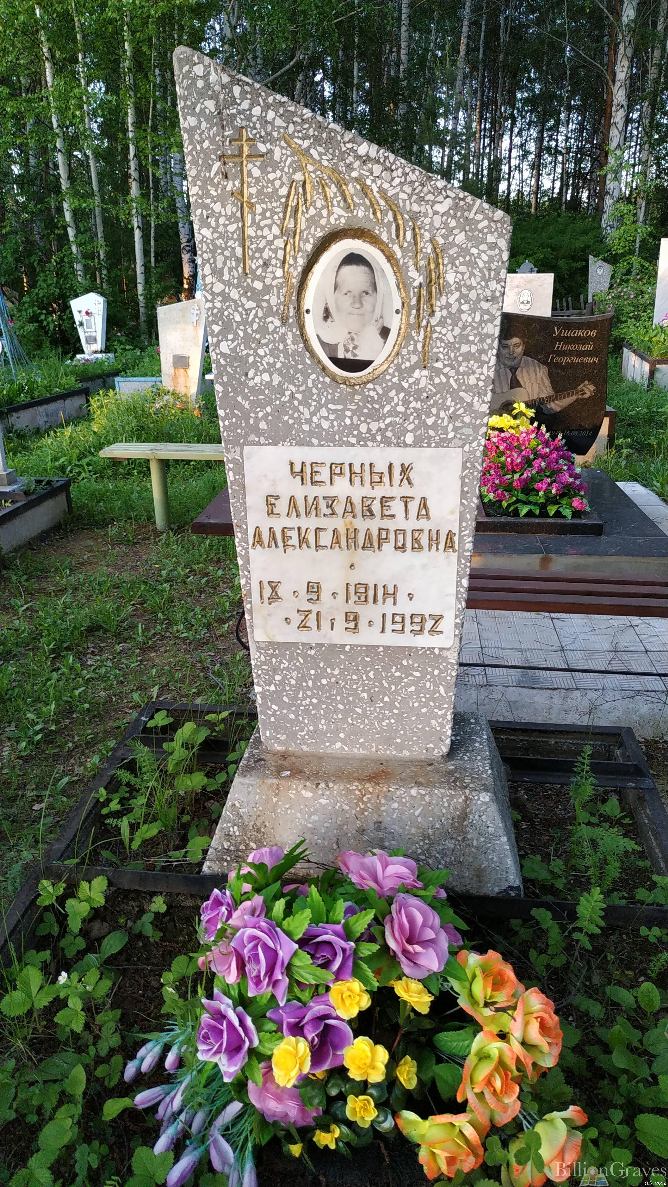 Черных Елизавета Александровна