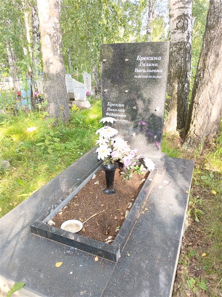 Брекин Николай Фёдорович