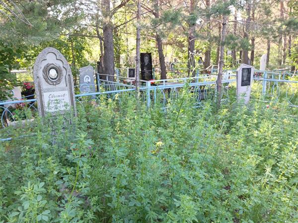 Похламков Жорж Константинович