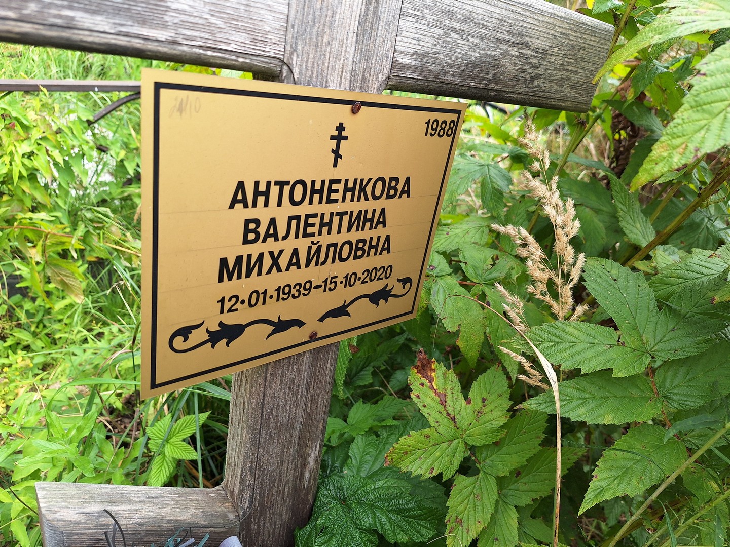 Антоненкова