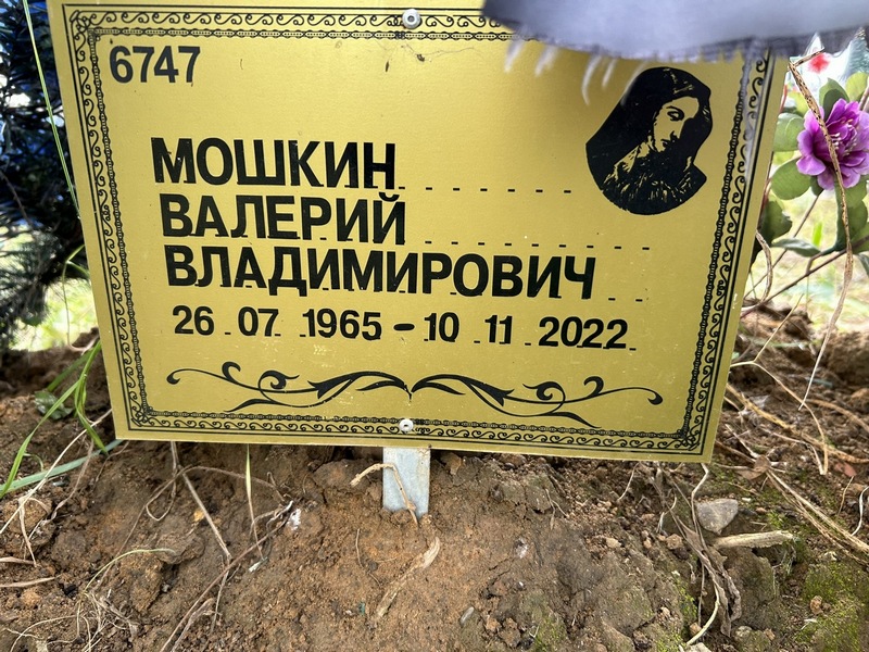 Мошкин