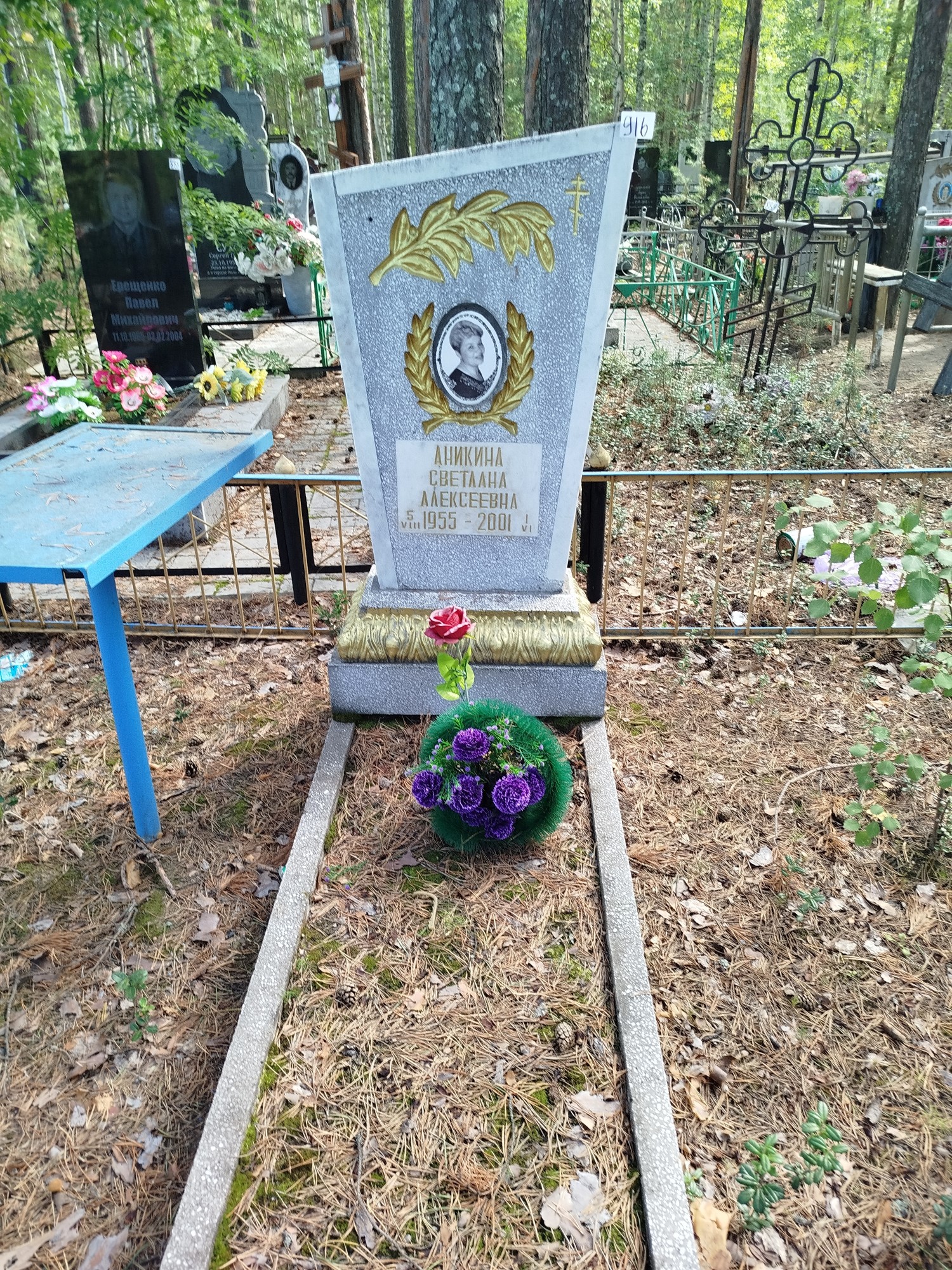 Аникина Светлана Алексеевна