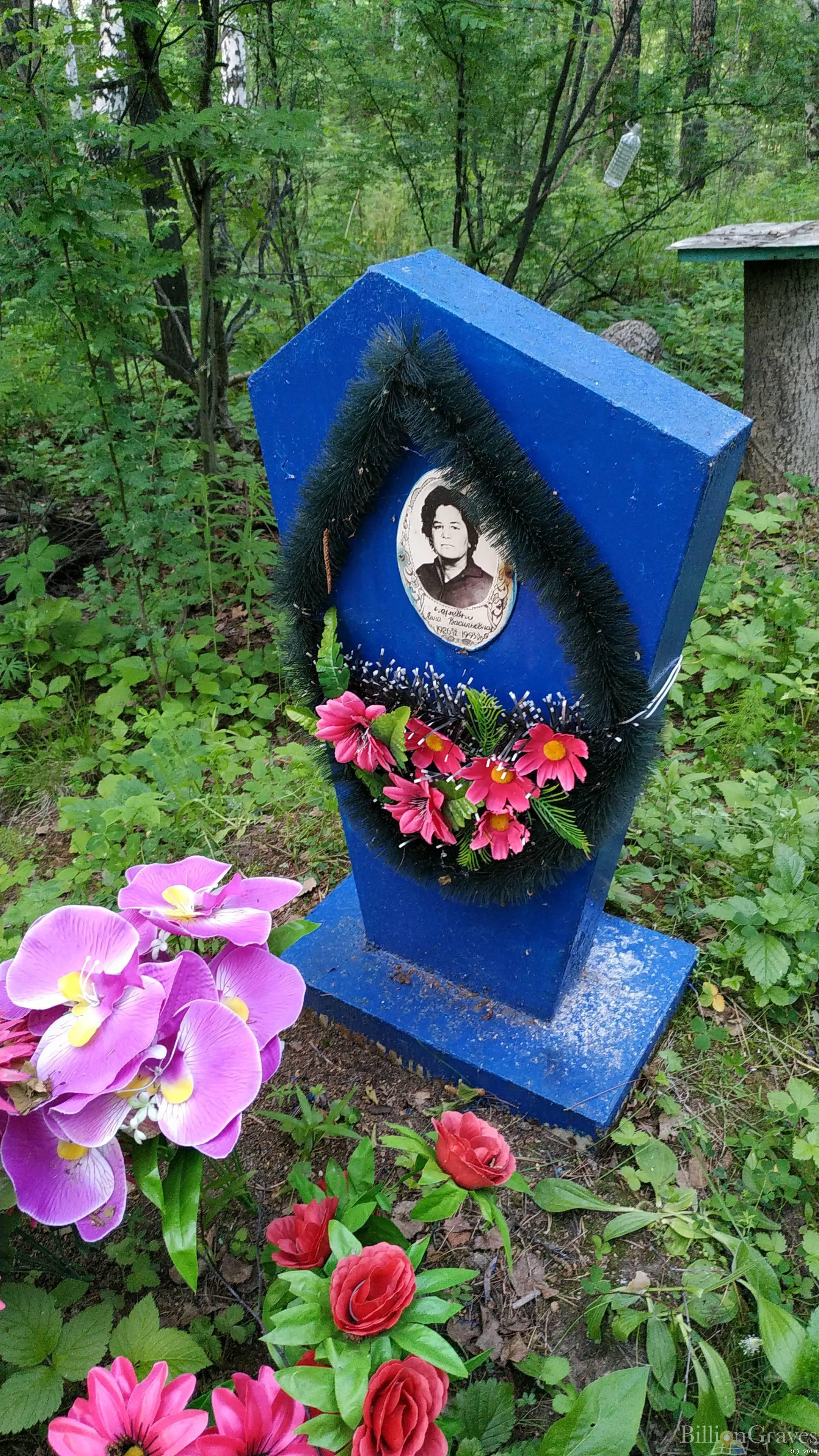 Черевко Анна Васильевна