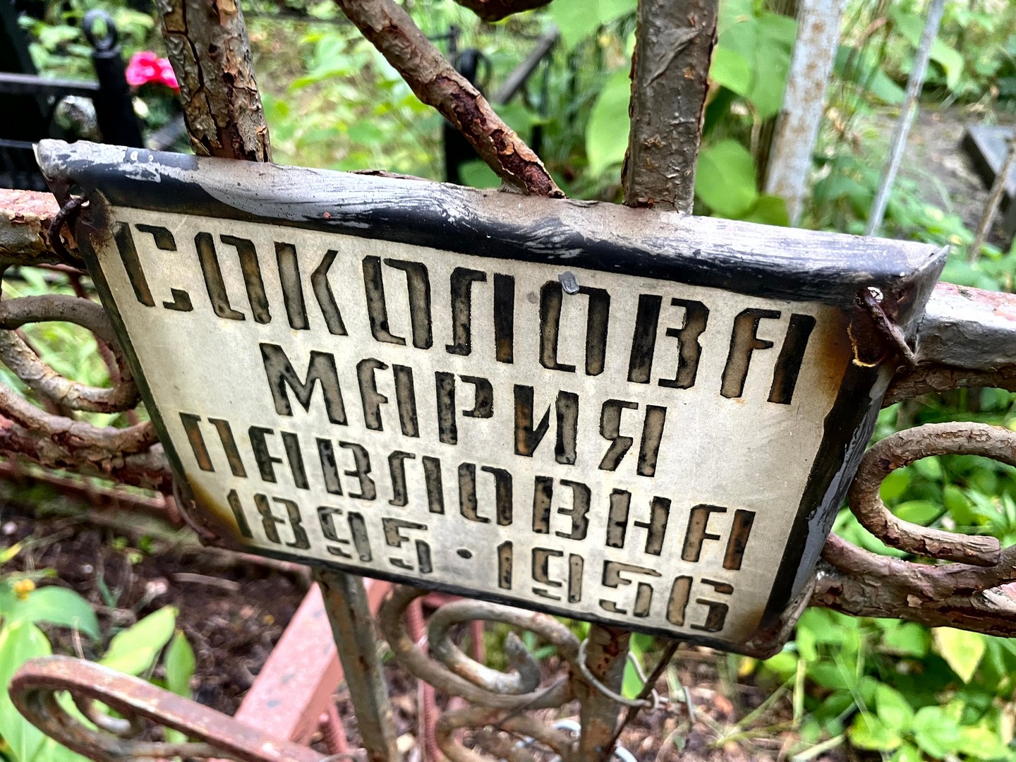 Соколова