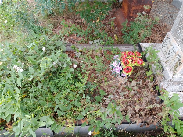 Кожевников Борис Семенович