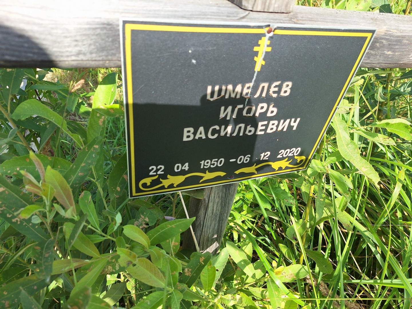 Шмелев