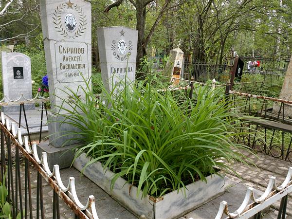 Скрипов Алексей Васильевич