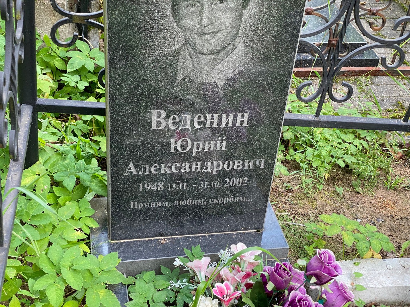 Веденин