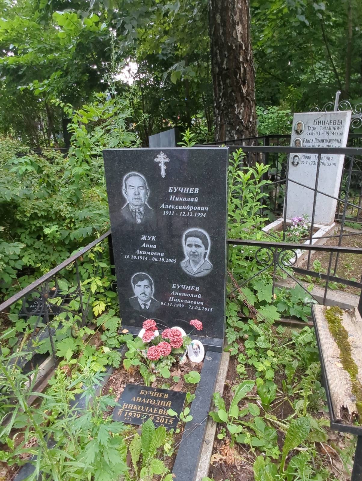 Бучнев Анатолий Николаевич