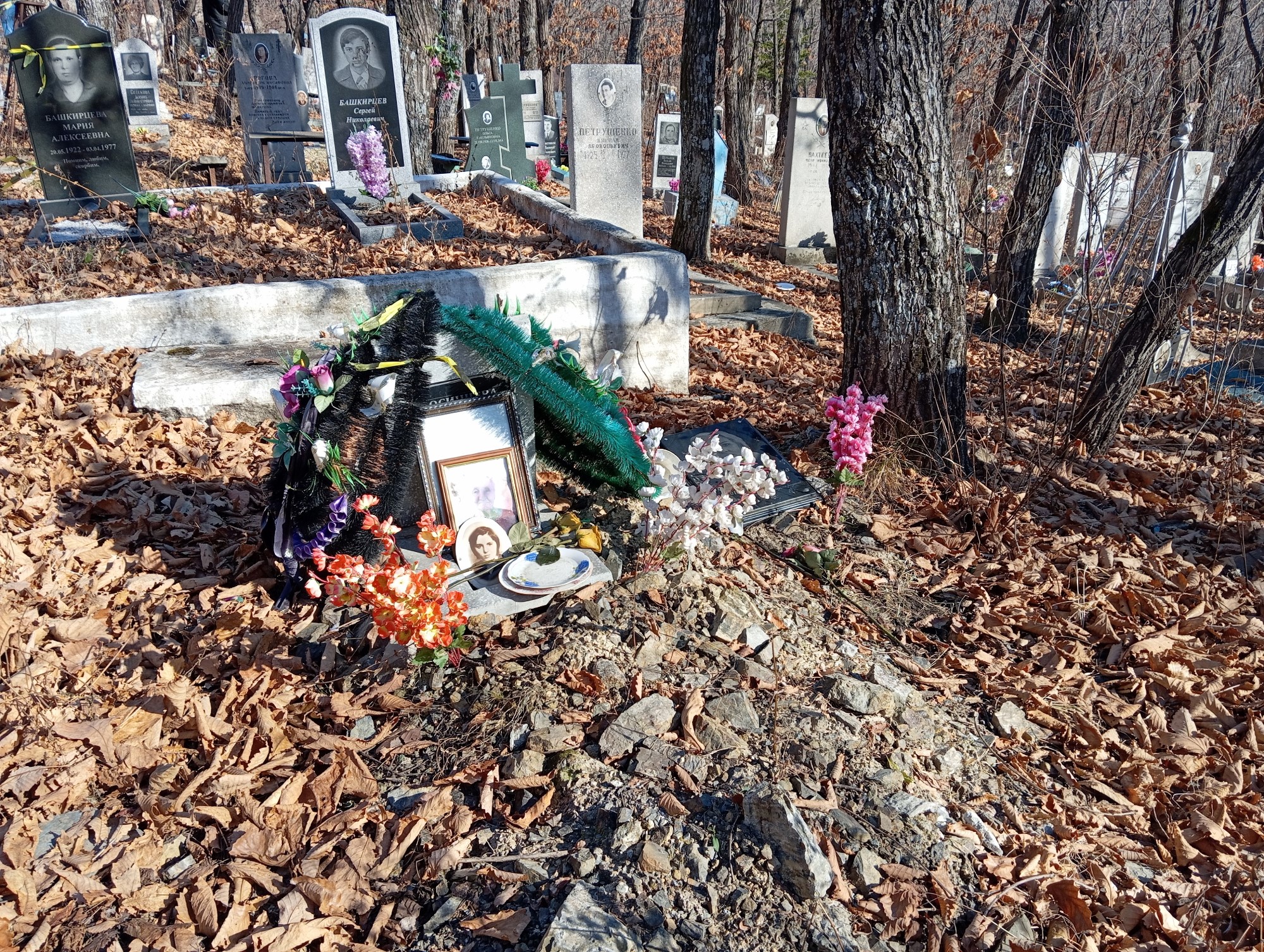 Осинцева Антонина Васильевна