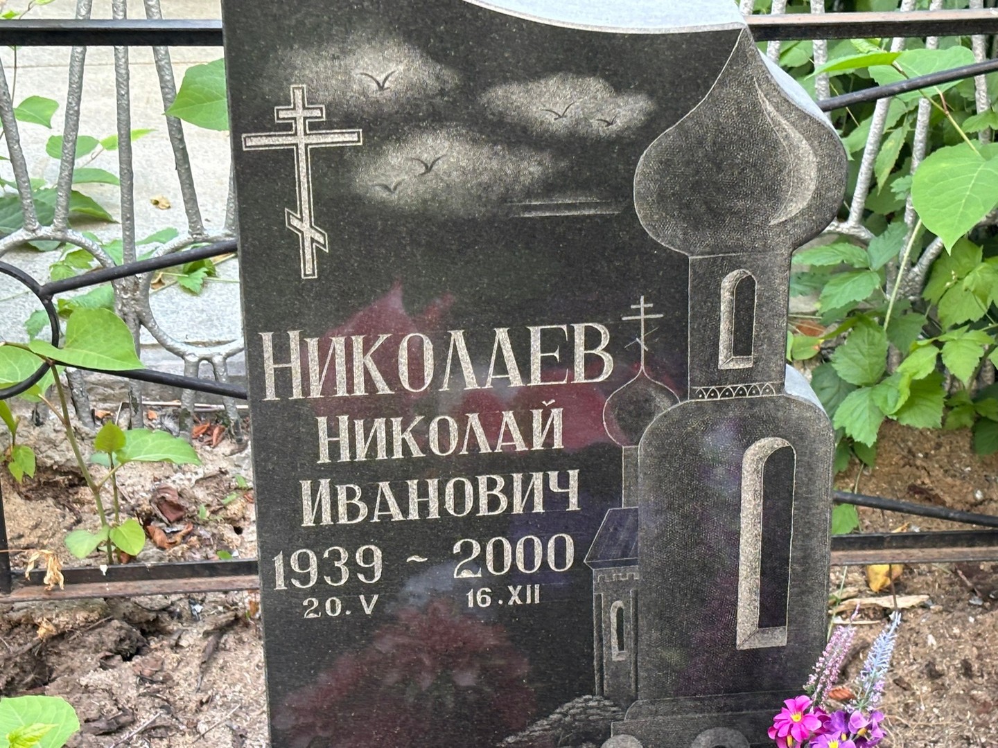 Николаев