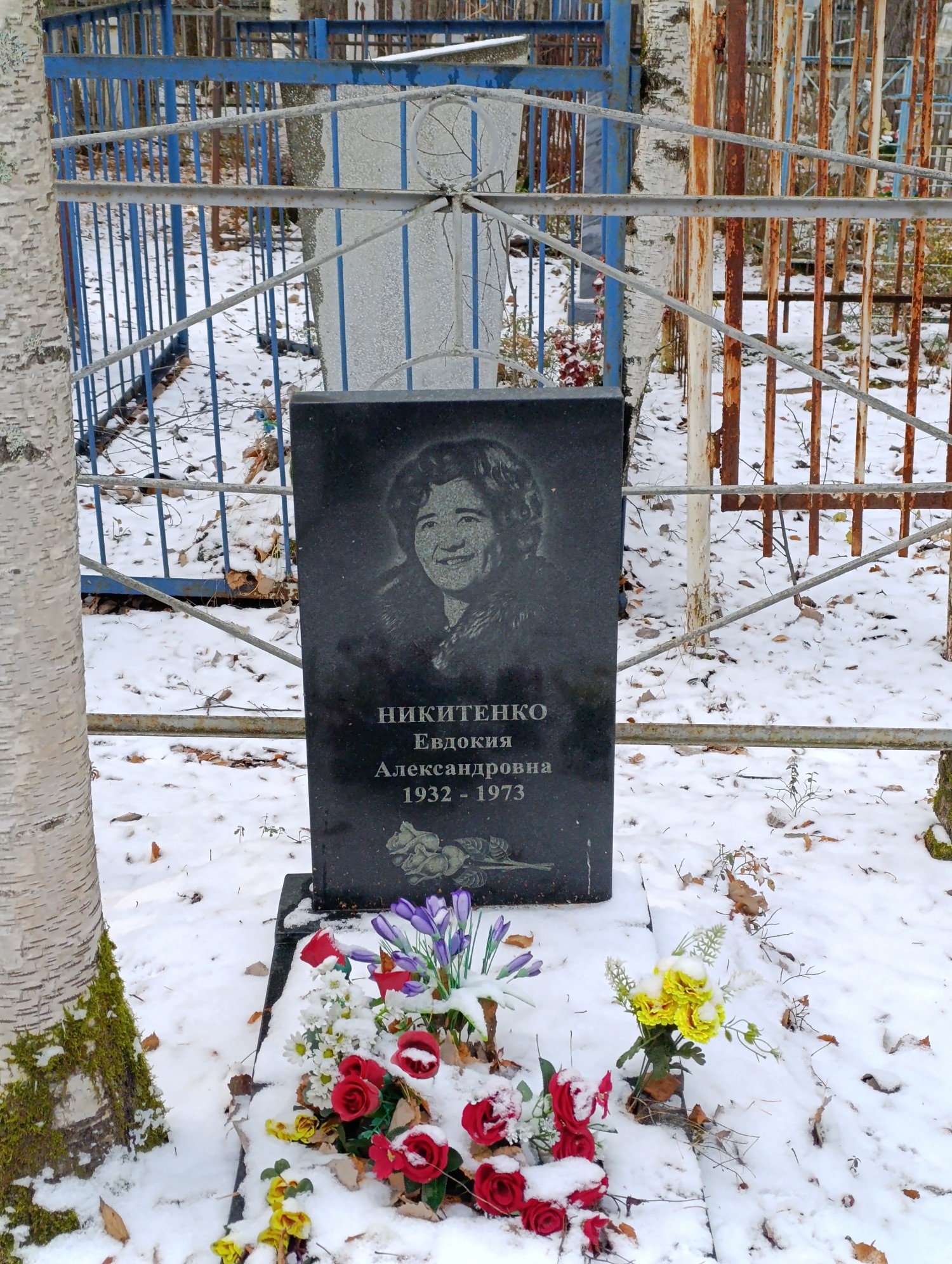 Никитенко Евдокия Александровна
