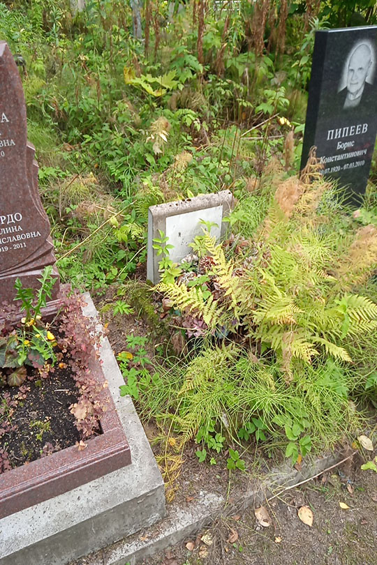 Михайлов В. А.