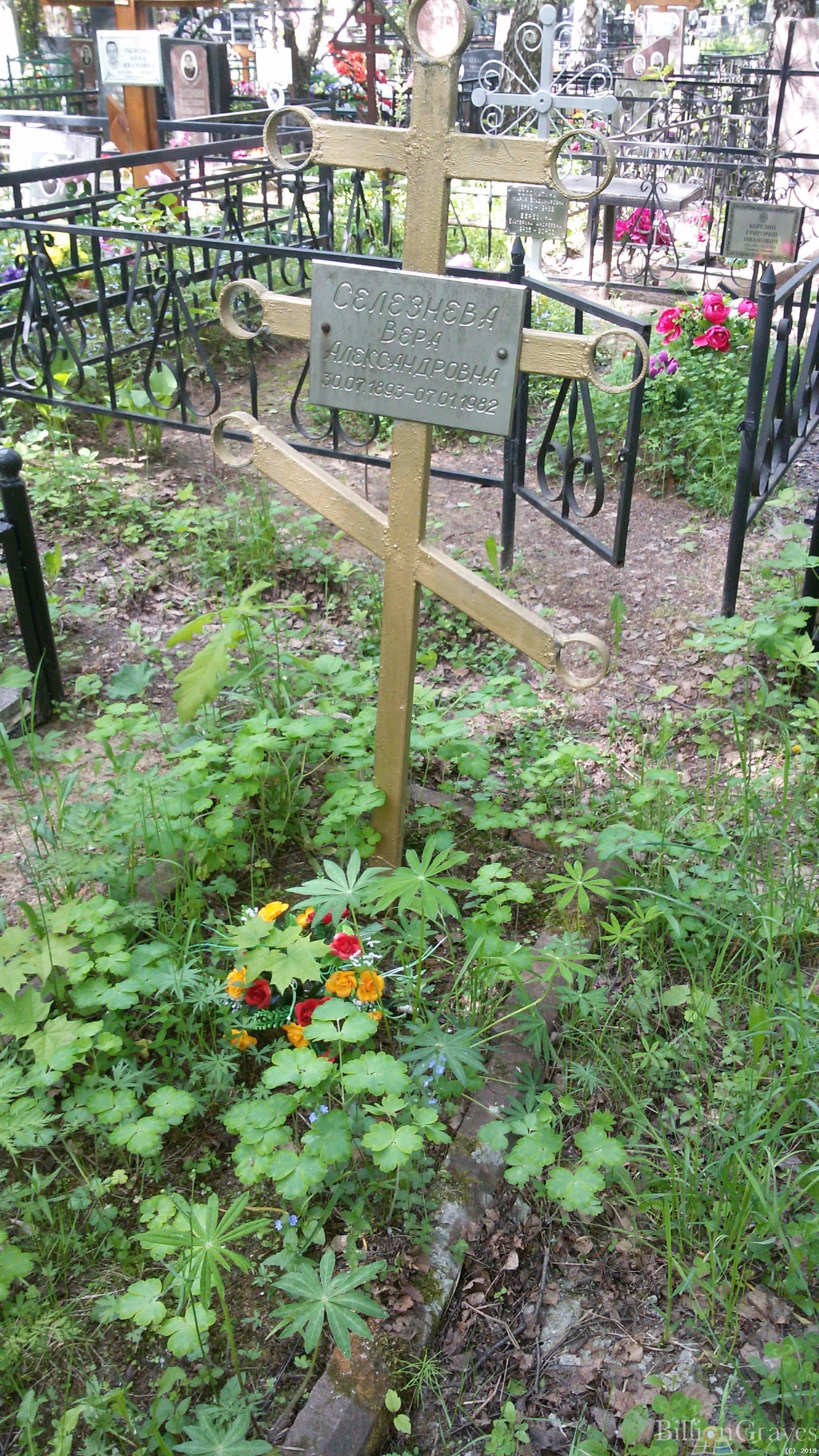 Селезнева Вера Александровна