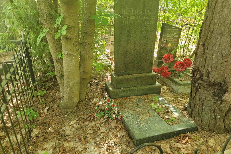 Поляков Лев Маркович