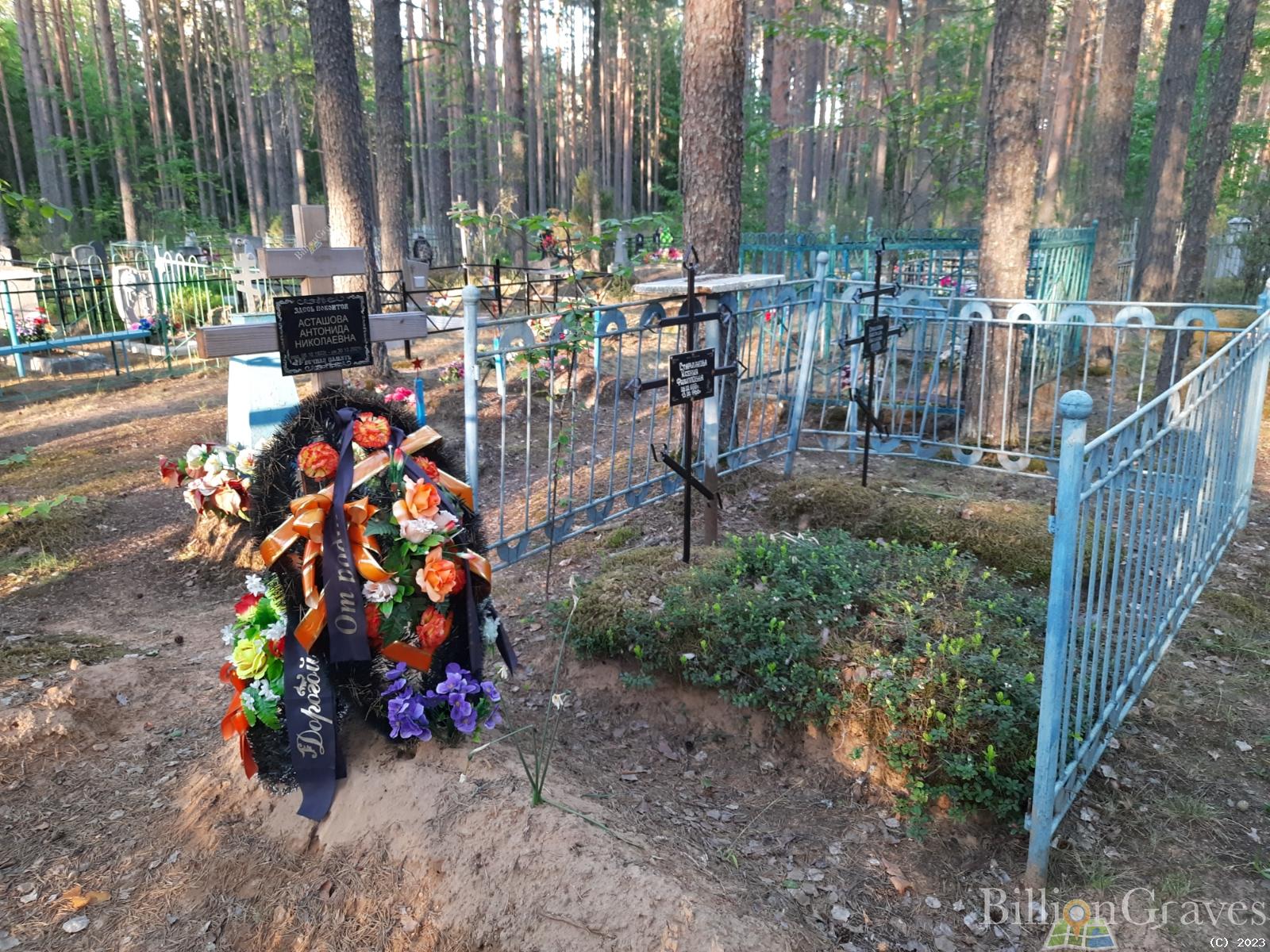 Старшинова Александра Николаевна