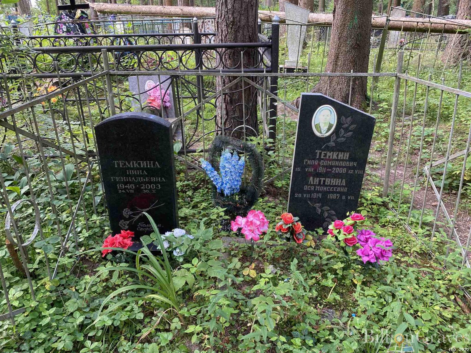 Темкина Нина Генадьевна