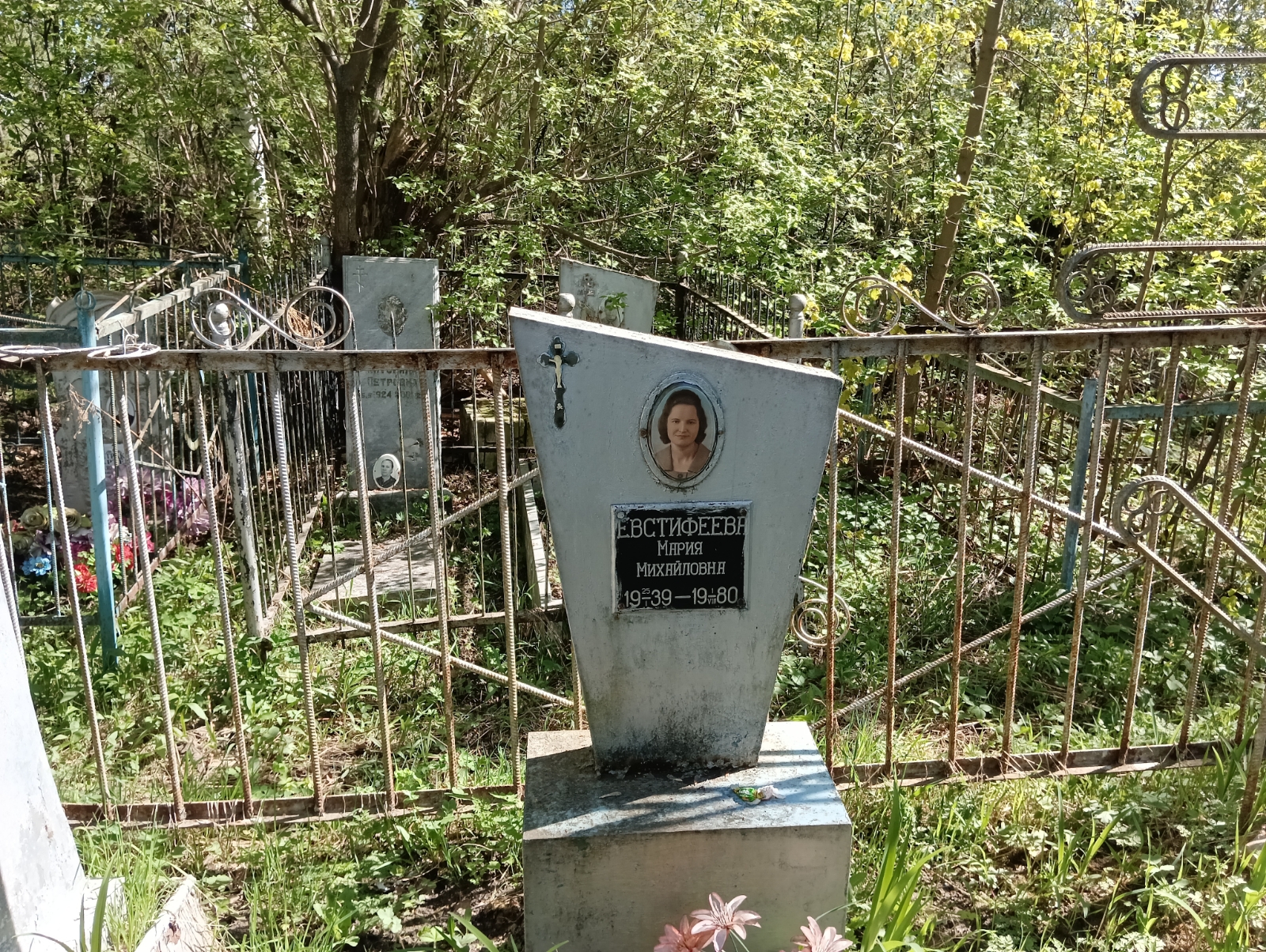 Евстифеева Мария Михайловна