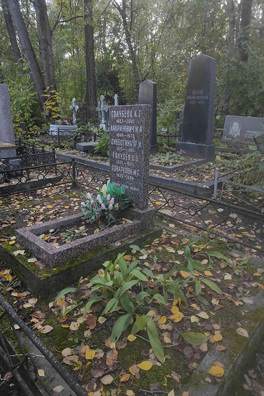 Голубев В. В.