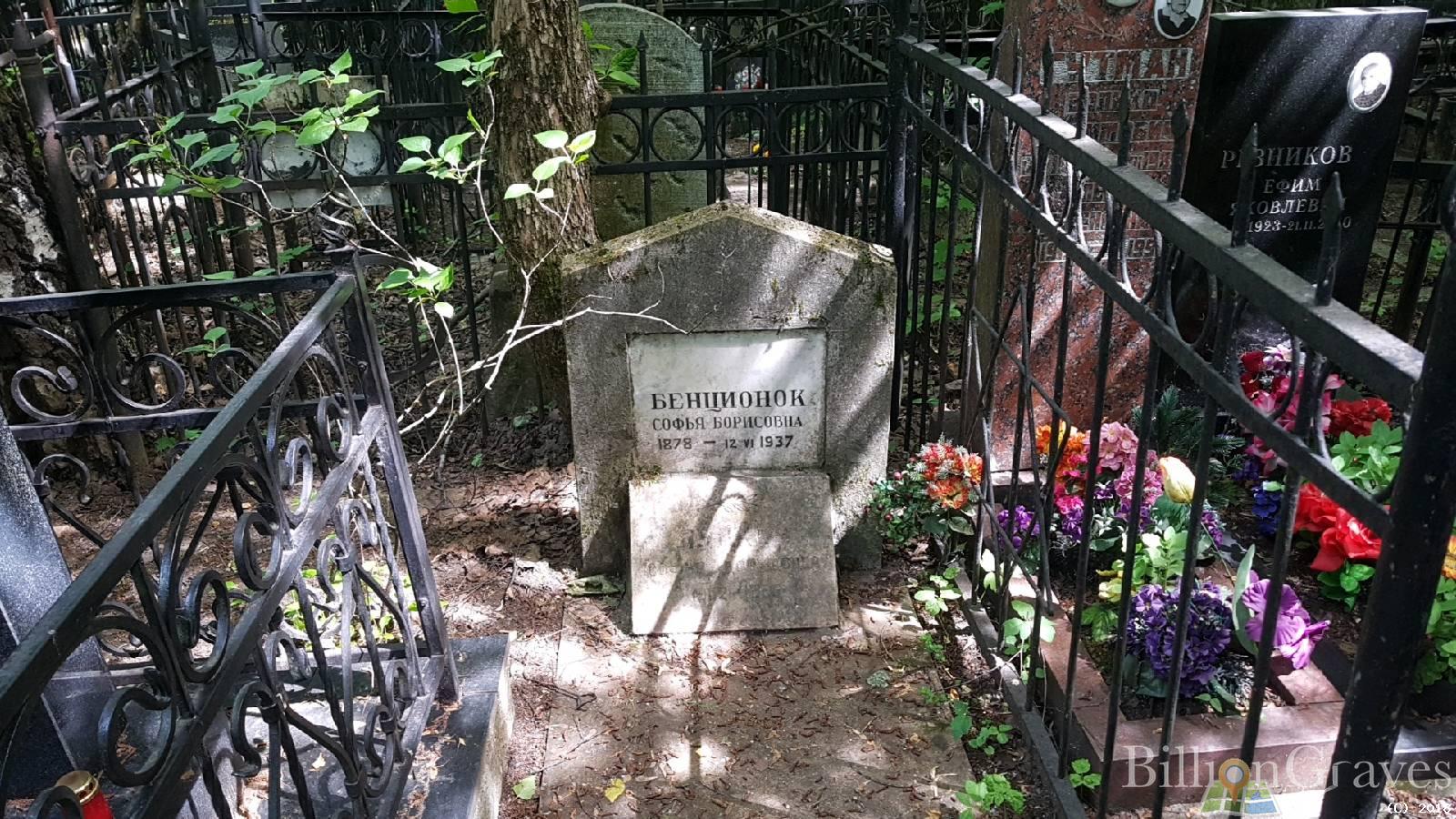 Бенционок Софья Борисовна