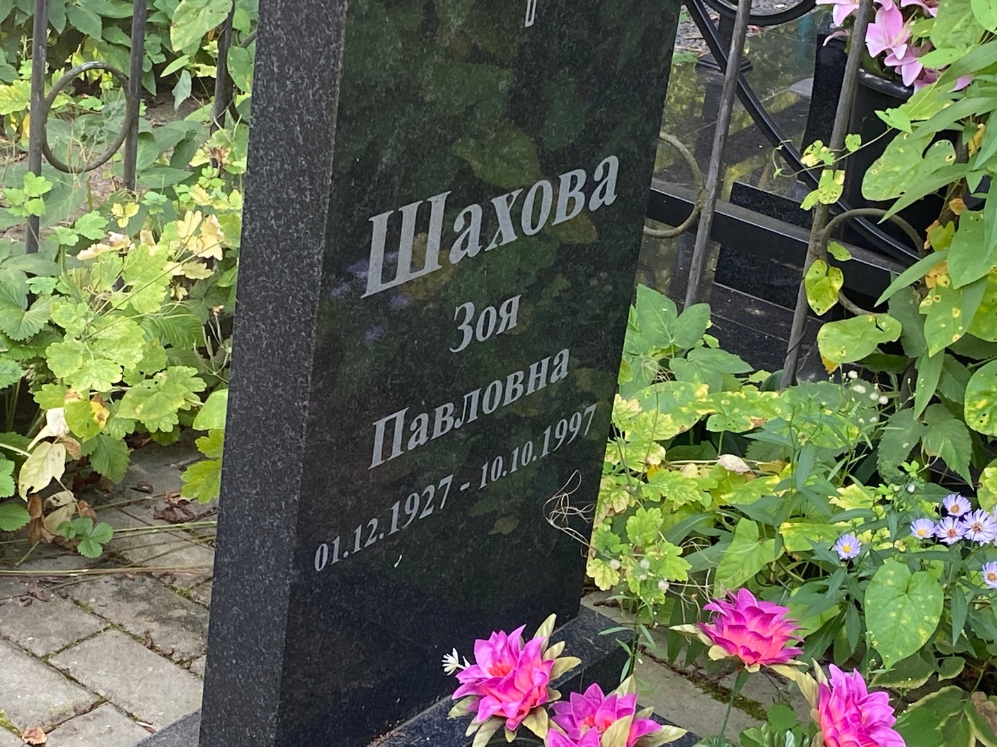 Шахова